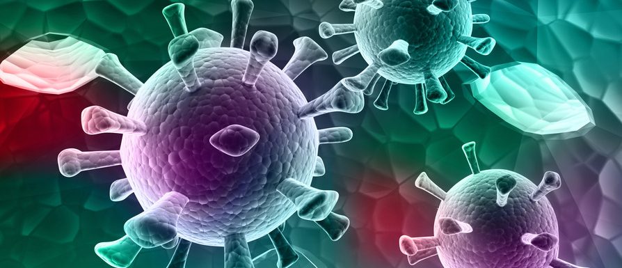 Photo by Martin Brechtl